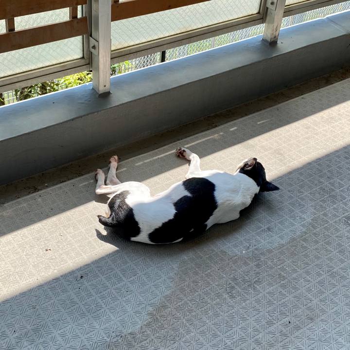 2c5e4475 32d7 4ce9 b348 7d085259e3df 1596341389784