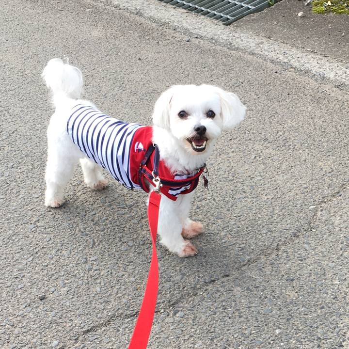 2c5e73b1 bd33 4026 8ad2 9b115e70fa84 1596670350402