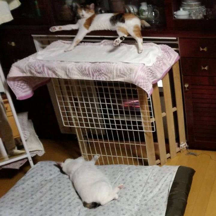 2c5e7c92 c8a0 4c17 8b19 17baf576ac0f 1697544689069