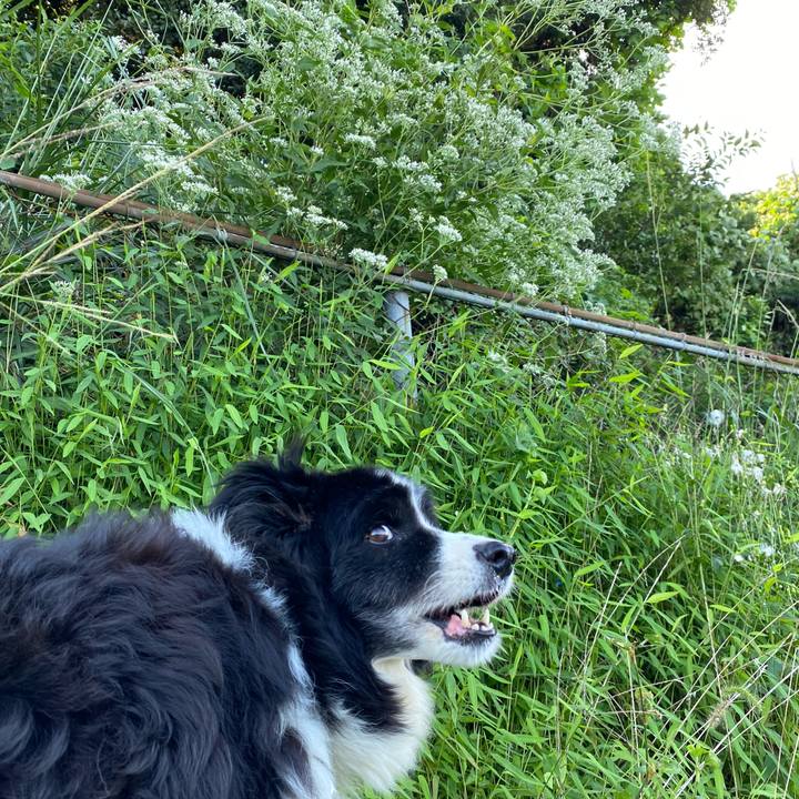 2c5ecb58 bcee 4696 ae81 dc6daf8be9c2 1695537849498