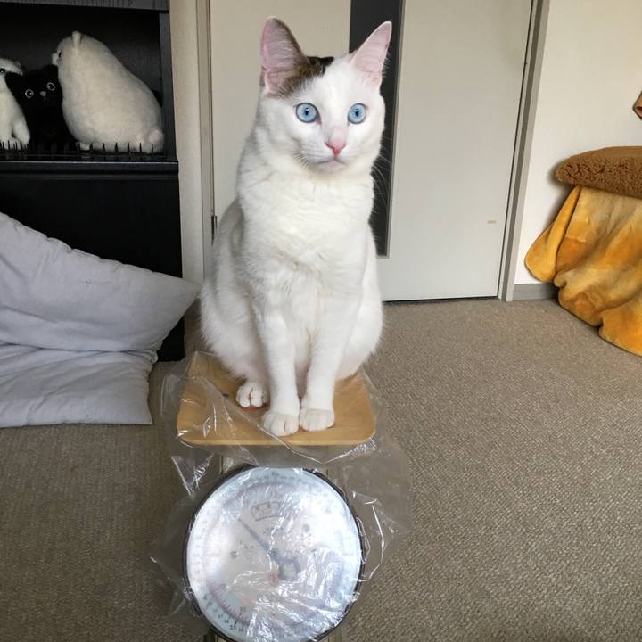 2c5ee203 b224 44ff bba2 933966289e33 1520902558073