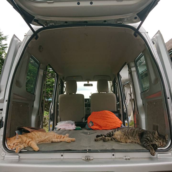 2c5eff9b d71b 418d b313 684feae71a6f 1658732803474