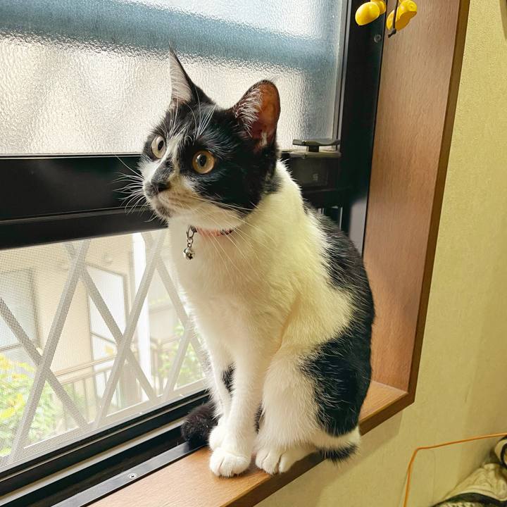 2c5f226d c902 4de8 80aa 83590bbd60bb 1759791096532