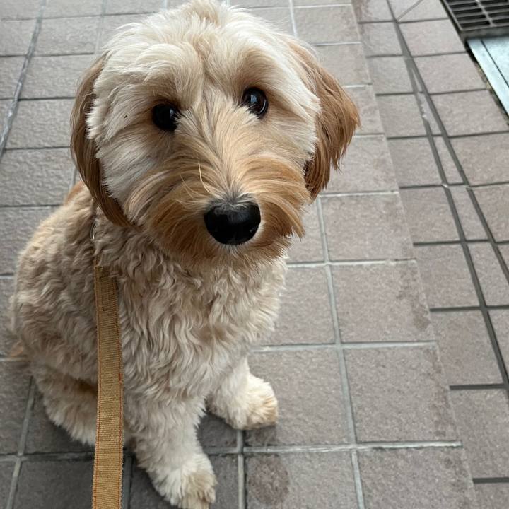 2c5f2b63 c64d 45b4 bec1 fc9975eba4dd 1707948809296