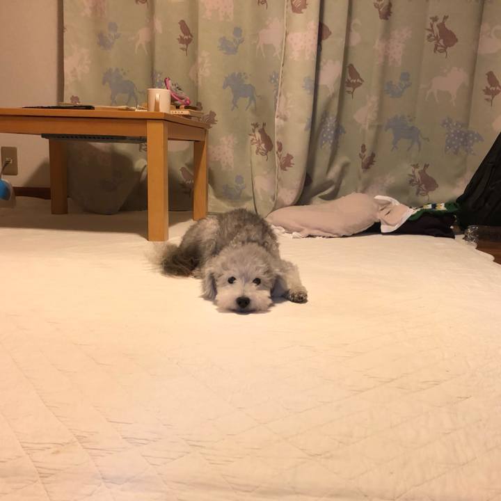 2c5f5dae 91ee 437c a108 8293d050d715 1569493445543