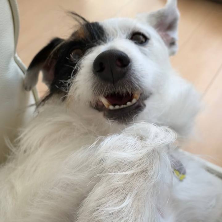 2c5f6ffd 164e 4e00 9596 fa06934dcc24 1583906765726