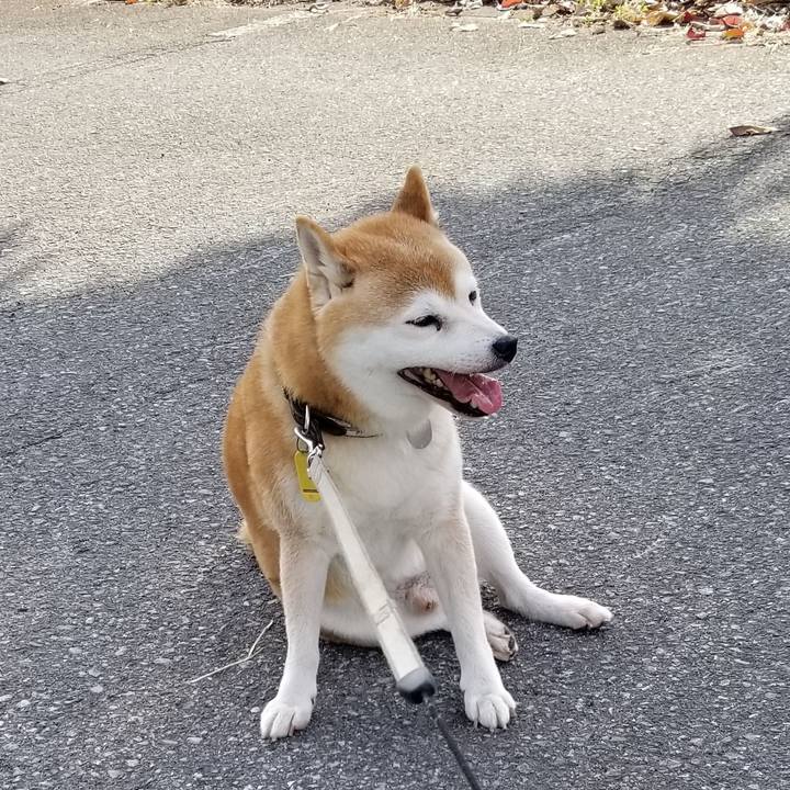 2c5f7b93 8782 41ea 9156 43951218e9b6 1632293543109