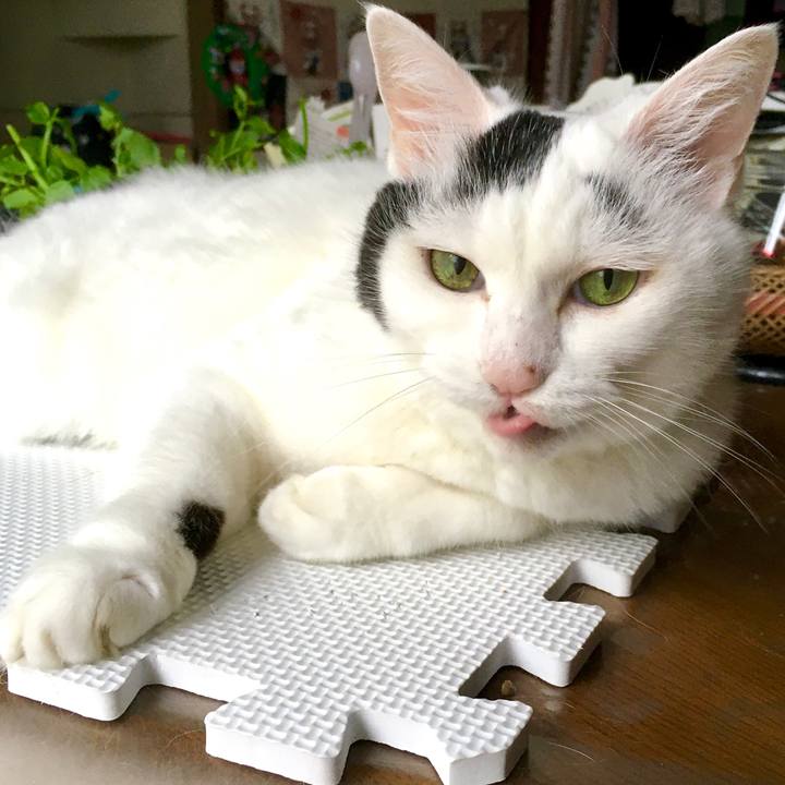 2c5f7d2b 8e36 4133 a700 48078943f1d0 1600328949130