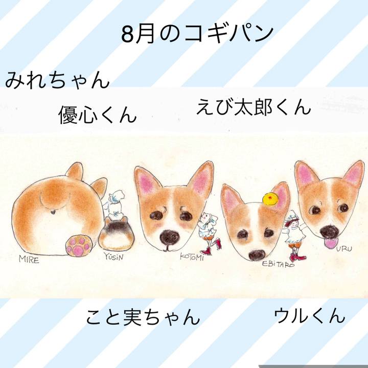 2c5fc4c4 e82e 48bb 9b4b fd1866c1f939 1630088047383