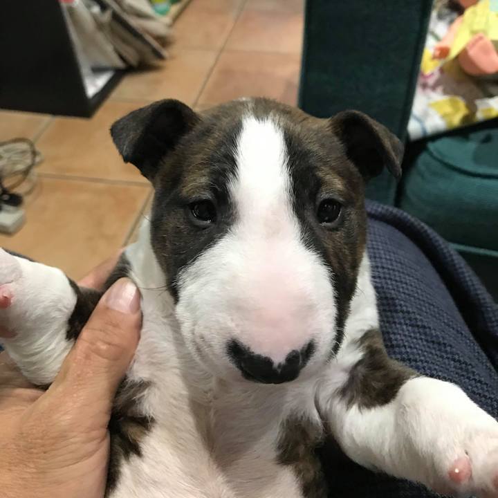 2c5fea3c 2046 44f2 acc4 b87551d4d25f 1545616079012