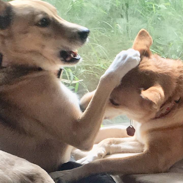 2c600672 d46a 44ad bc21 f02799dc7acc 1538299306208