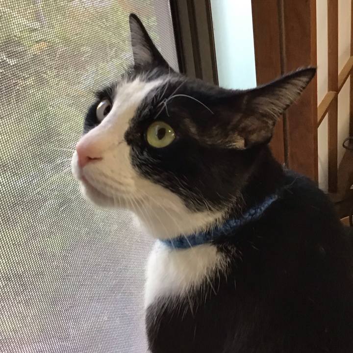 2c604a3e 3d89 484b 864d 36bbe716a523 1745483830536