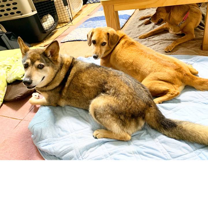 2c604a78 103b 46d9 9226 f0a23799a7b7 1567939456862