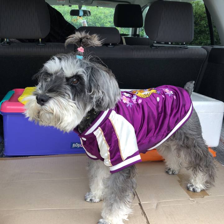 2c605b98 8449 47bf a4aa 1193c568d665 1542421265656