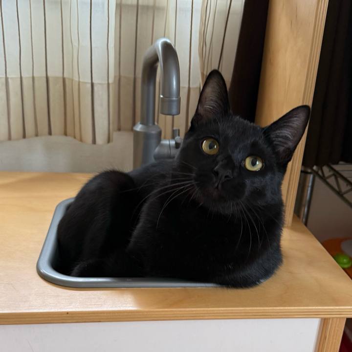 2c605cba 1351 47cd b2f7 a425e3dc53a0 1764285382689