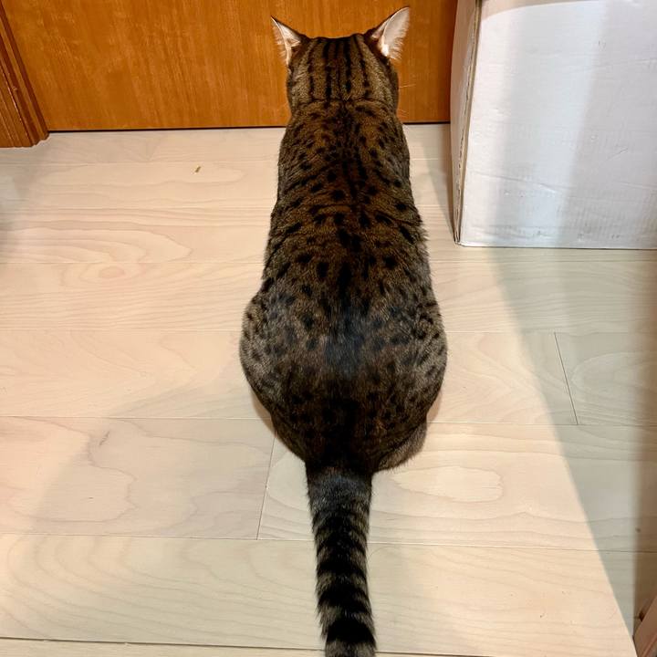 2c6073b4 a09d 475b 8fc8 a6e048483c30 1665631168750