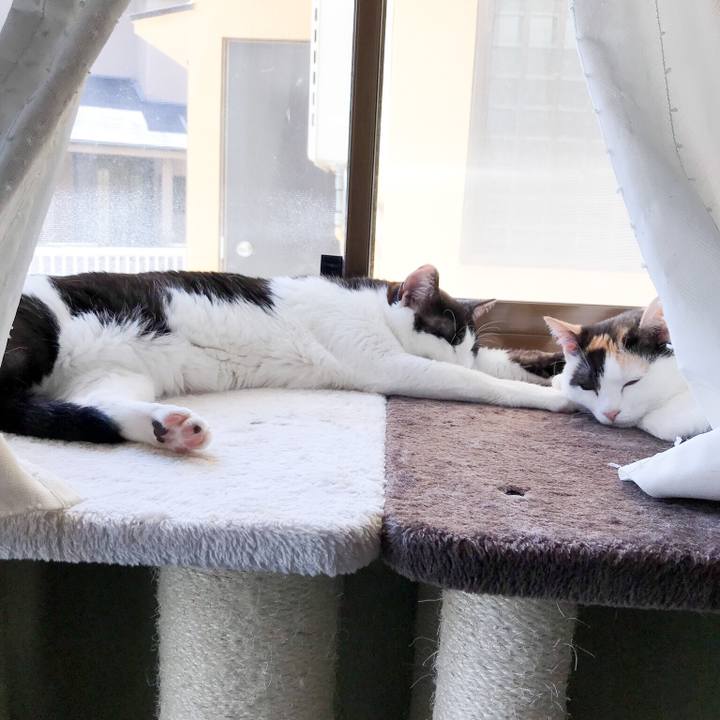 2c60a3bf 821f 4a8e a88b 464bad7b1d17 1528421443543