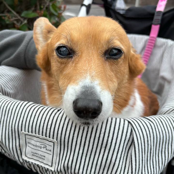 2c60d126 36ec 4f32 b24d e1973a6208fb 1742782398790