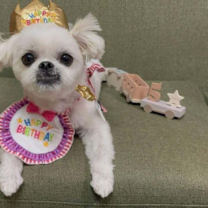 2c60e03e 6b40 47e4 a751 5138445f149a 1728565497567