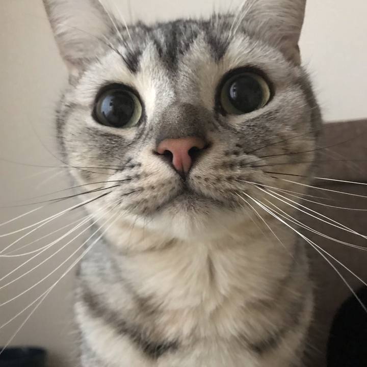 2c6100ea 0eb1 40be a530 68ef7a669788 1546126201153