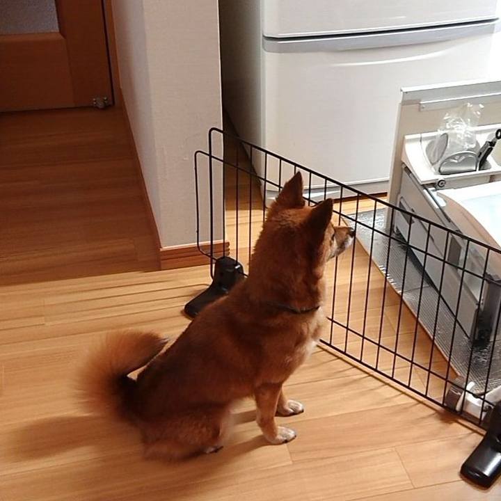 2c610d9b 9c1d 48c5 840c cfd12dc76e0c 1592040012996