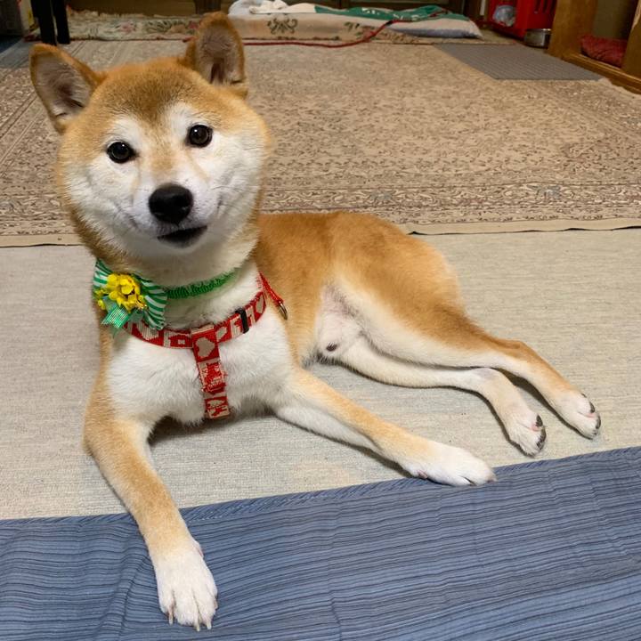 2c613747 8f25 4bba 8940 40818c9f1234 1565951201267