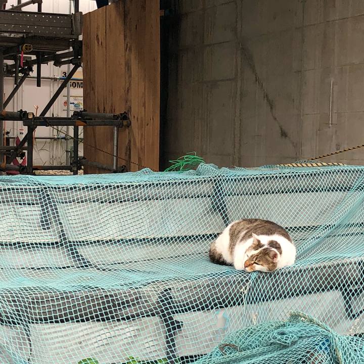 2c616c6b 1994 4390 be2d faaba0752454 1539321611378