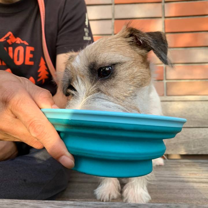 2c61780c da6e 4483 81c8 19e214295dca 1600247110821