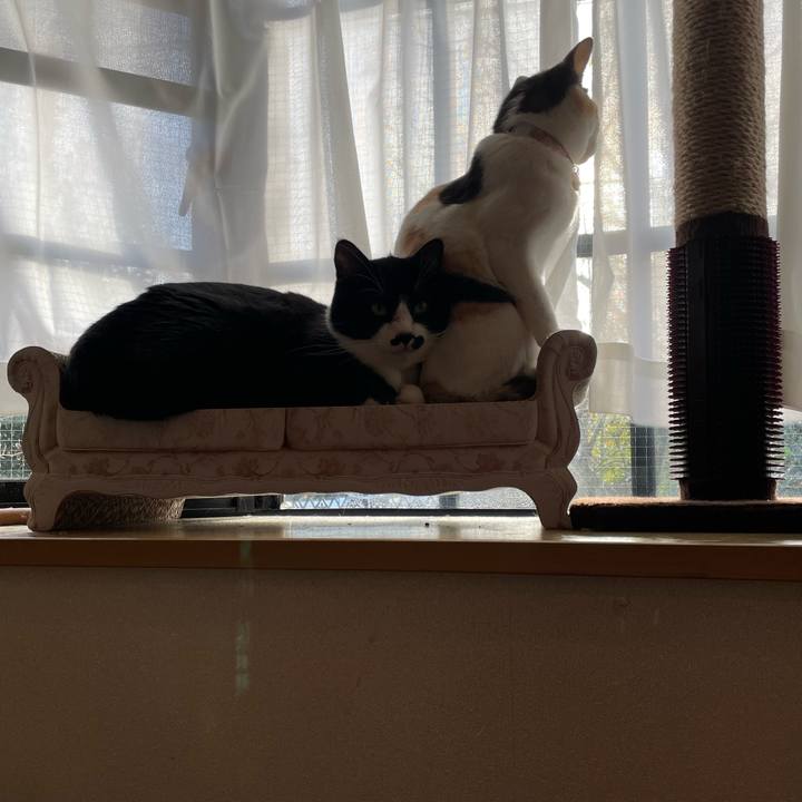 2c61927d c2df 4789 905e fe45d52b50e1 1673913392761