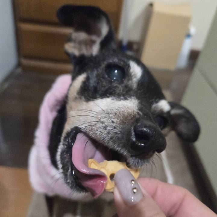 2c61a9e5 4890 4dea 9739 d949ffb82733 1763757864752