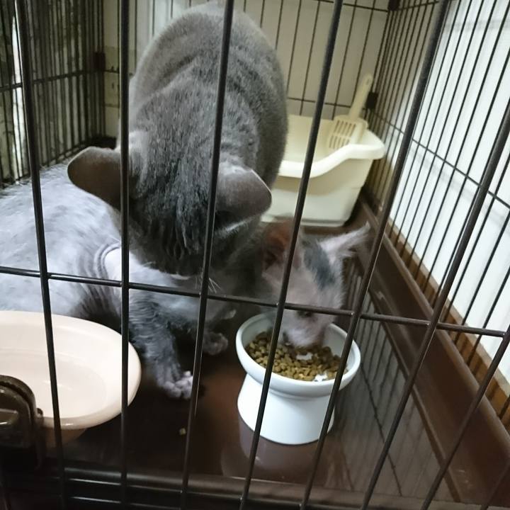 2c61bf44 f0c2 409d 992c f0c654104083 1514422937019