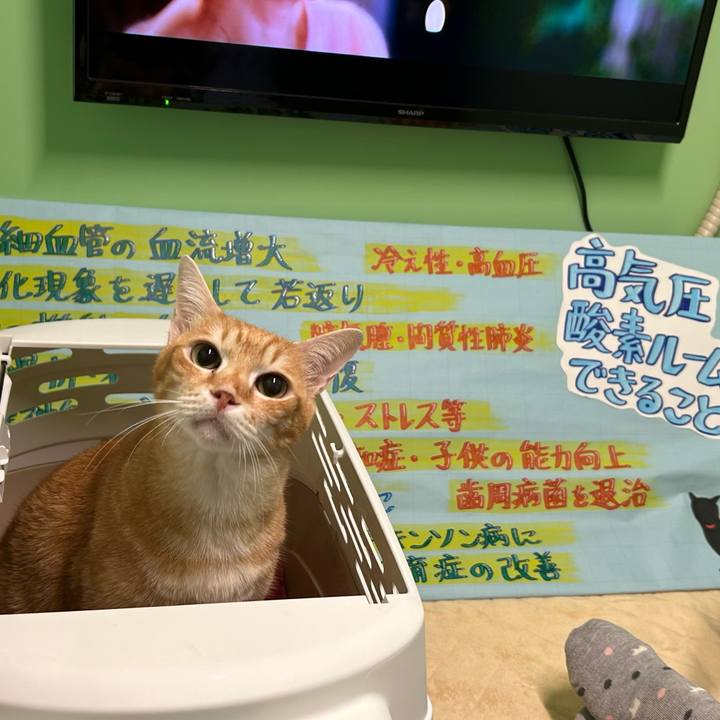 2c61e568 5fe8 43ee b2b4 3ef4a7456eaa 1674886110508