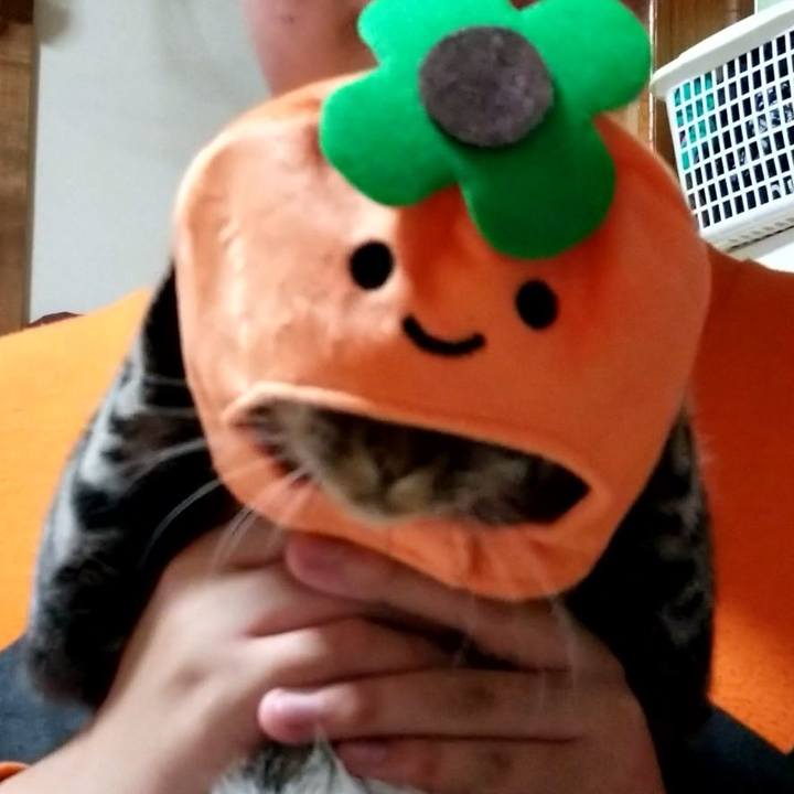 2c62026e f3ae 45ed b789 6e4d9d48ad0c 1685456902285