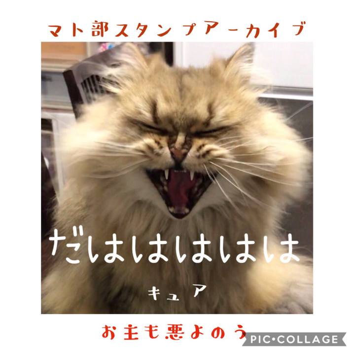 2c628935 45a4 4821 80ad 7344eee64925 1578743878687