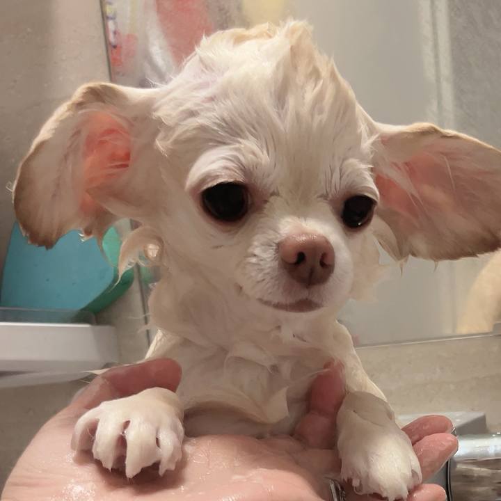 2c629fe1 310c 4419 ae53 a11e7b4c879d 1727875651013