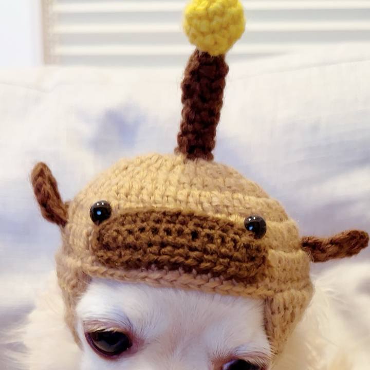 2c62b3a3 3696 4741 a904 8c71c79a2d3f 1703853567983