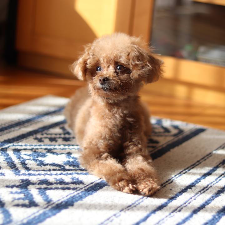 2c62e682 cda8 4938 ac32 30ab0d515a90 1548470472333