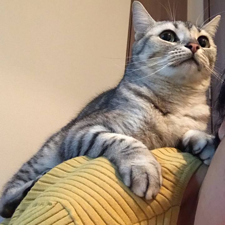 2c62f051 3eed 41b7 9f3b 9f494a98314c 1551956623155