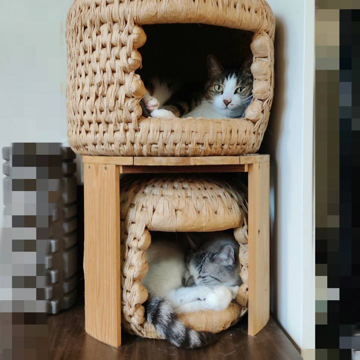 2c6324a2 7b5c 4e87 b639 f7094d17e6bb 1626691252763