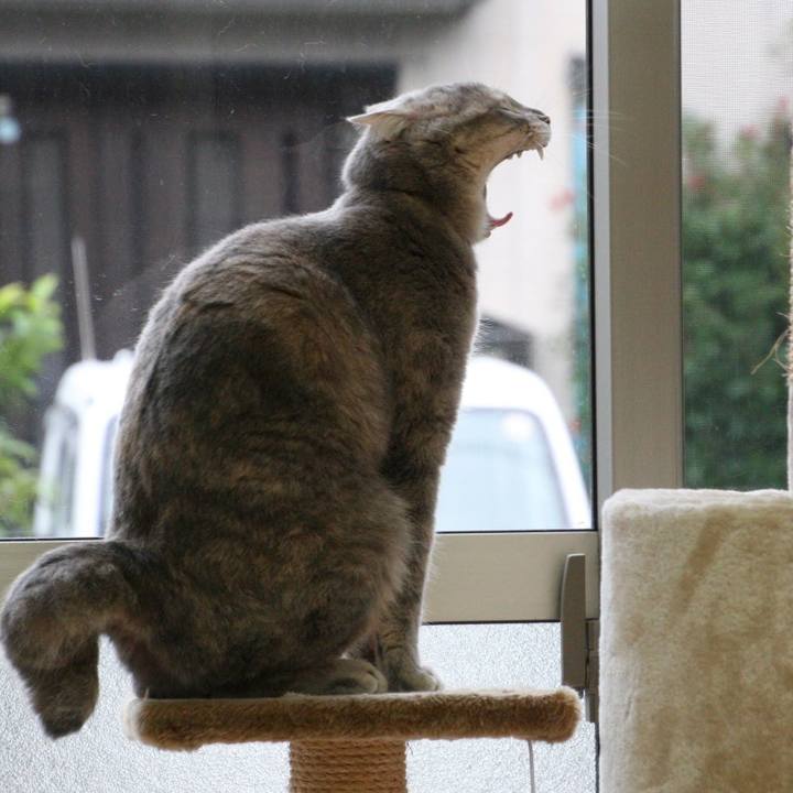 2c63339d 83d7 4d93 aca4 0fbd3f5118e2 1538702505595