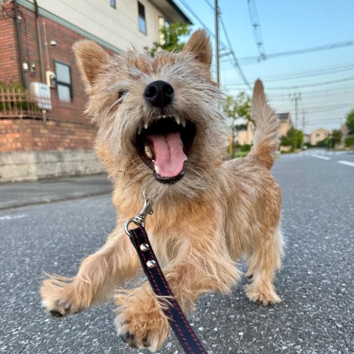 2c6380a7 42c5 4a51 9c03 700f8d7b6b1c 1722684560437