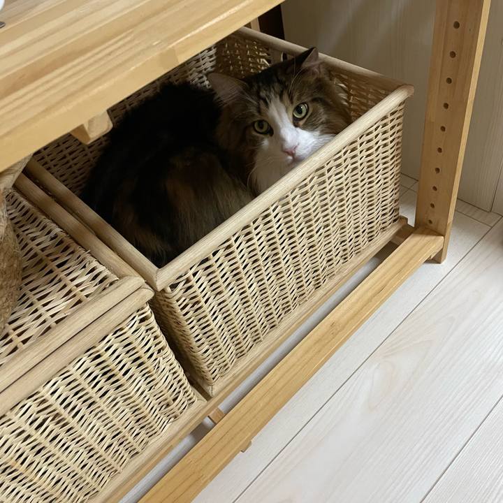 2c63aae5 7f57 4e97 9dc0 b3635a0d6074 1710622515766