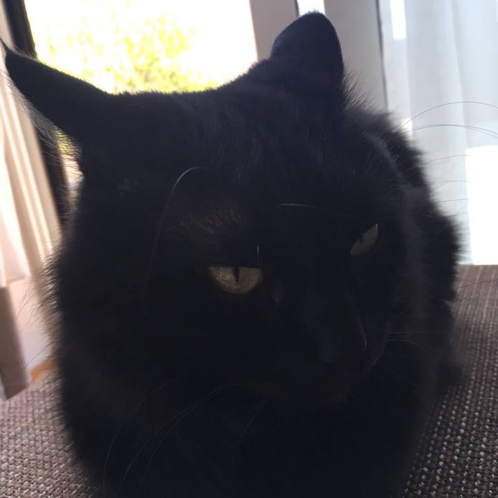 2c63ca13 3335 4ed3 99bb 0880368212f0 1527562426224