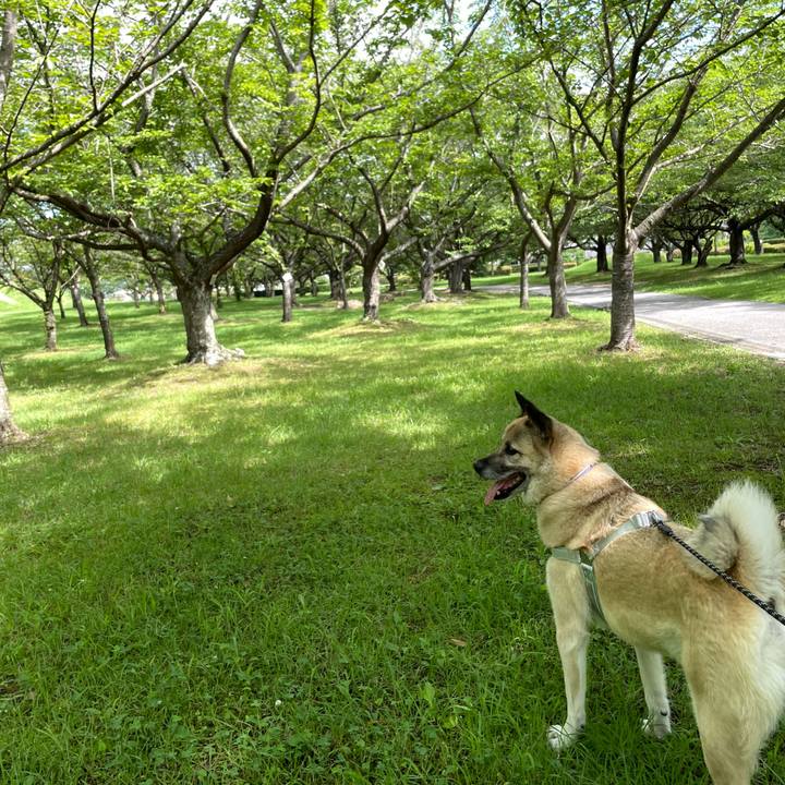 2c63e9aa be19 4d92 92f0 d08f585eb42d 1721562101666