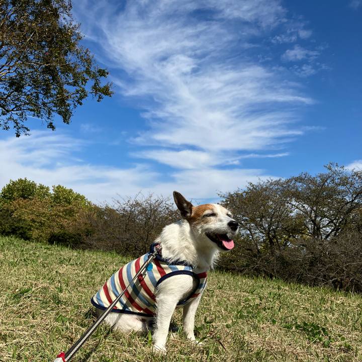 2c63ef0d 3682 4668 885d 00d1939009ce 1666653645877