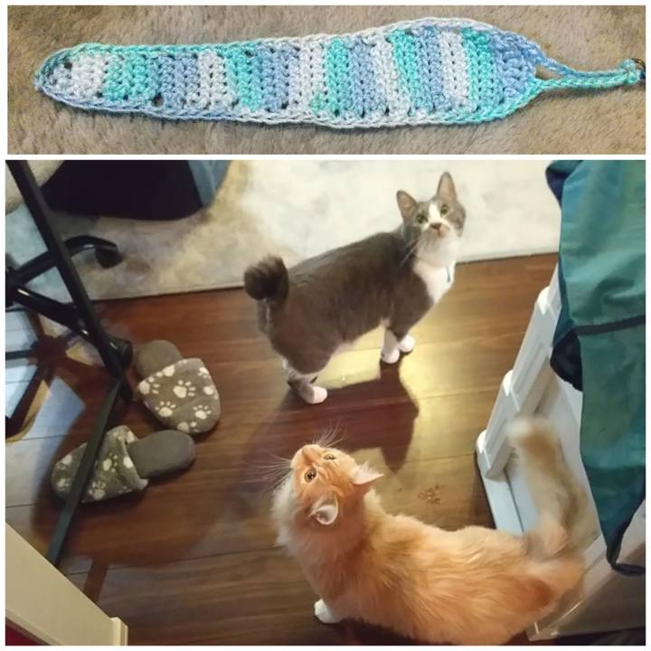 2c640246 d545 4b07 b315 537d379bc7c6 1651099677547