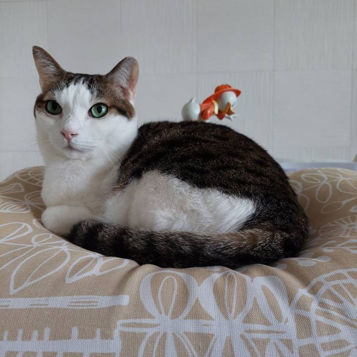 2c6417e7 8278 40c0 bd03 e62ca68e551b 1746394812649