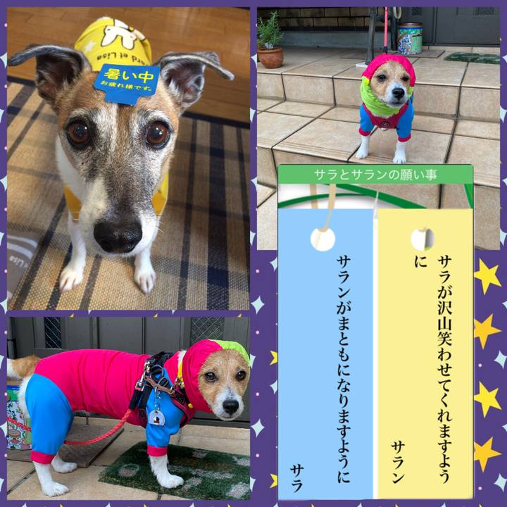 2c641883 065b 4a21 aca5 54bb0c2e4826 1625657112207