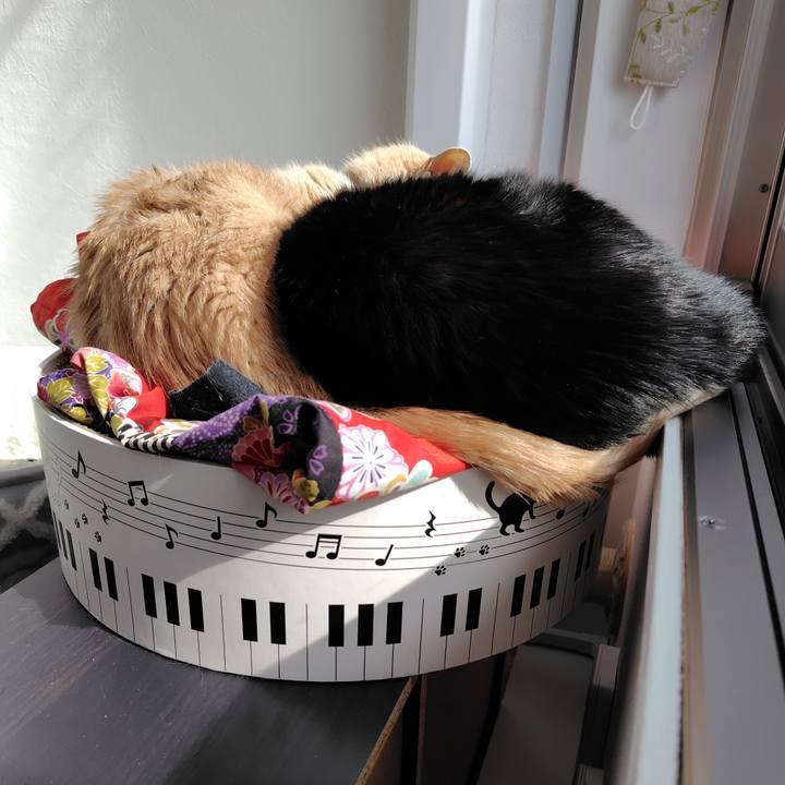 2c6443b1 e044 4e62 a4dd 64a9a2855bf1 1738554760943