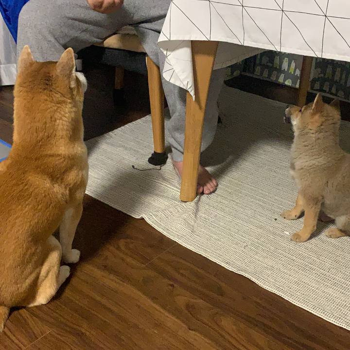 2c646611 3e12 4b1c b497 8e17af40e39a 1618920733523